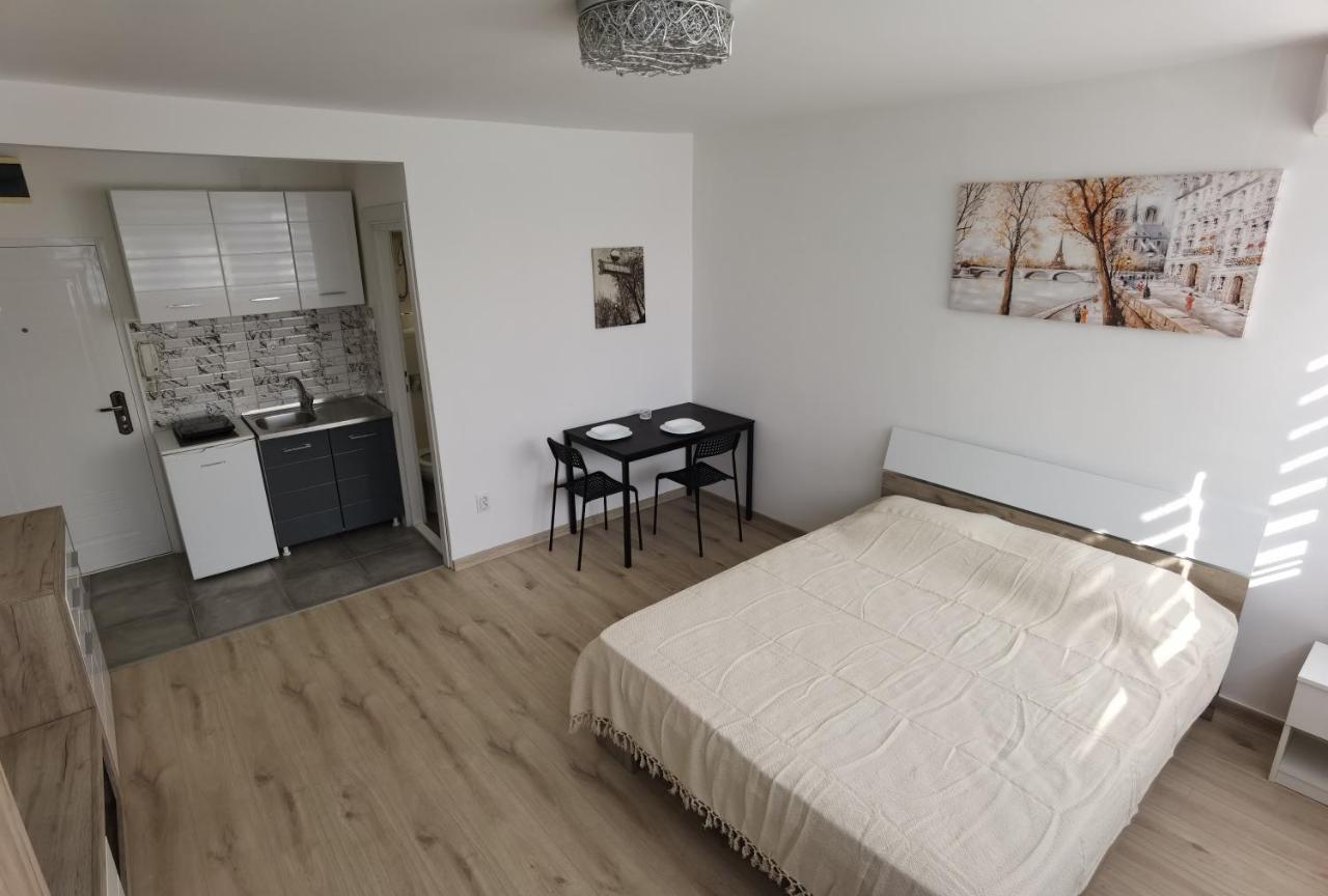 Ferienwohnung Apartman Lena Banovo Brdo Belgrad Exterior foto